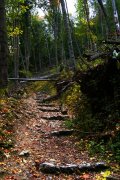 Ojcowski Park Narodowy czarny szlak