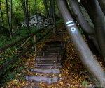 Ojcowski Park Narodowy zielony szlak