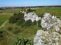 Widok na ostańce Jerzmanowickie