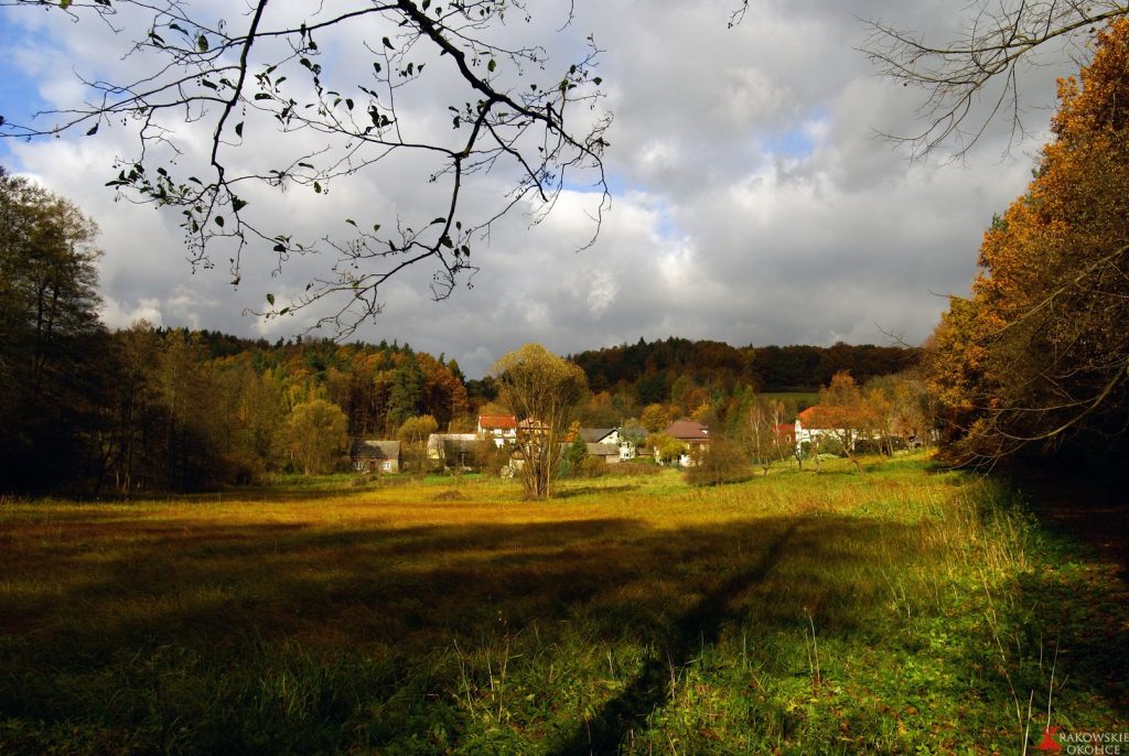 Szlak niebieski Dolina Mnikowska